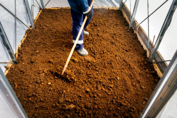 Istockphoto 1144370457 612x612
