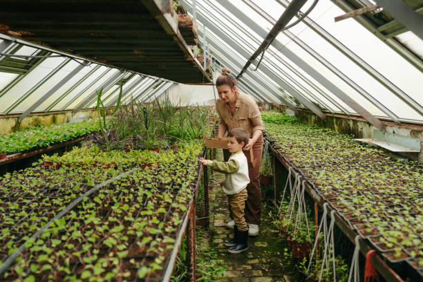 Photo of a young boy and his mother, buying plants from a nursery garden