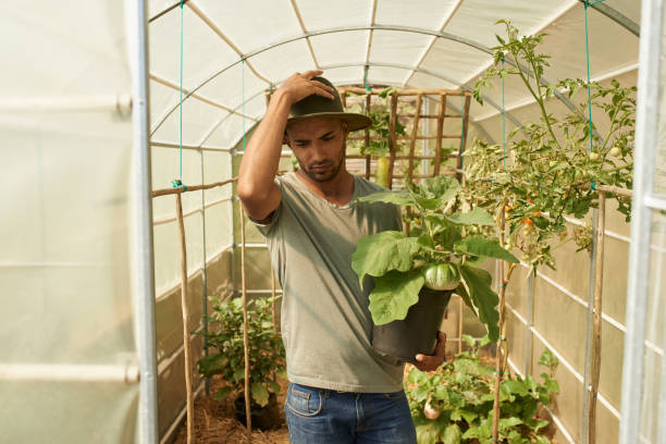 Shot of a young man working in a greenhouse